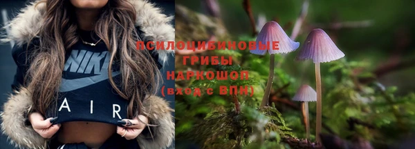 a pvp Абинск