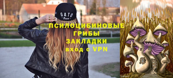 дмт Абдулино
