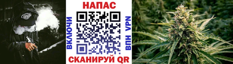 купить наркотики цена  Власиха  Бошки Шишки OG Kush 